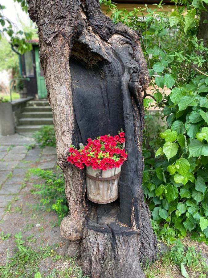 Old Summer House With Renovated Bathroom Praga Esterno foto